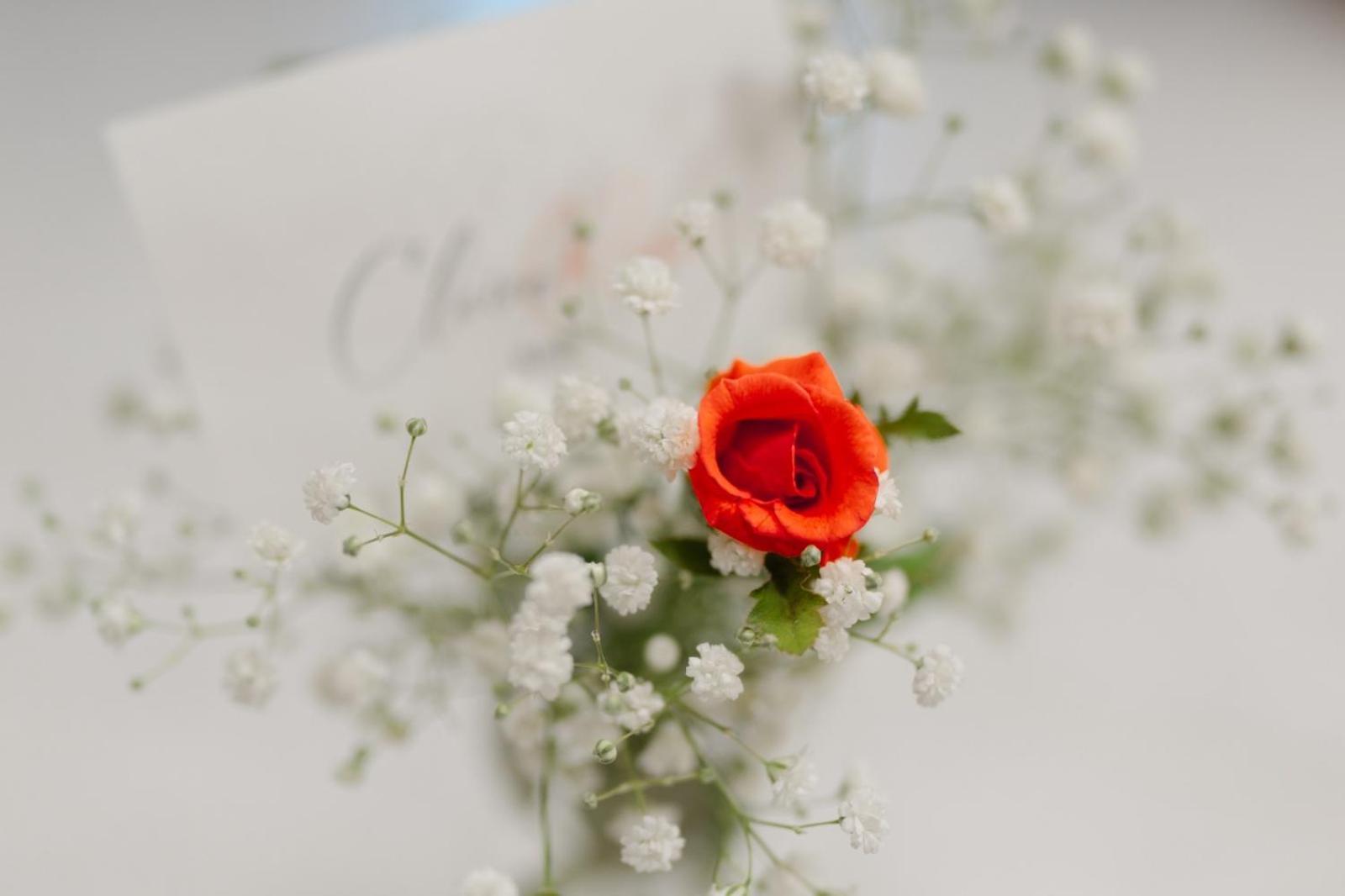 Claire Rose B&B Matera Exteriér fotografie
