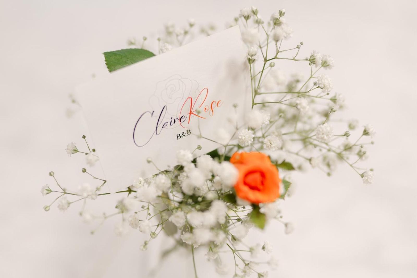 Claire Rose B&B Matera Exteriér fotografie